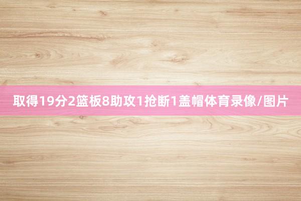 取得19分2篮板8助攻1抢断1盖帽体育录像/图片