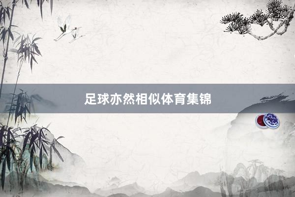 足球亦然相似体育集锦
