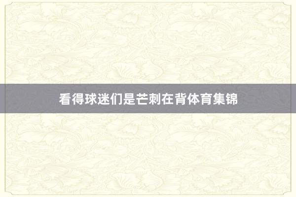 看得球迷们是芒刺在背体育集锦