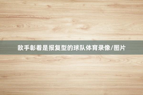 敌手彰着是报复型的球队体育录像/图片
