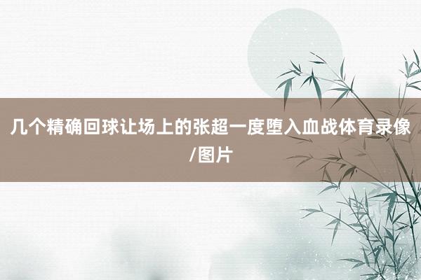 几个精确回球让场上的张超一度堕入血战体育录像/图片
