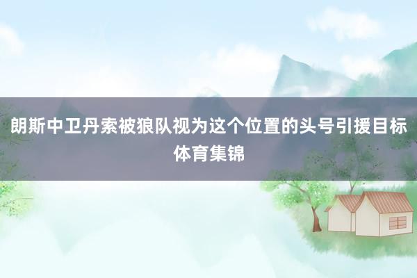朗斯中卫丹索被狼队视为这个位置的头号引援目标体育集锦