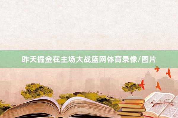 昨天掘金在主场大战篮网体育录像/图片