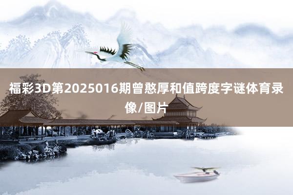 福彩3D第2025016期曾憨厚和值跨度字谜体育录像/图片