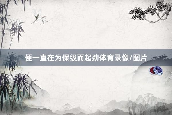 便一直在为保级而起劲体育录像/图片
