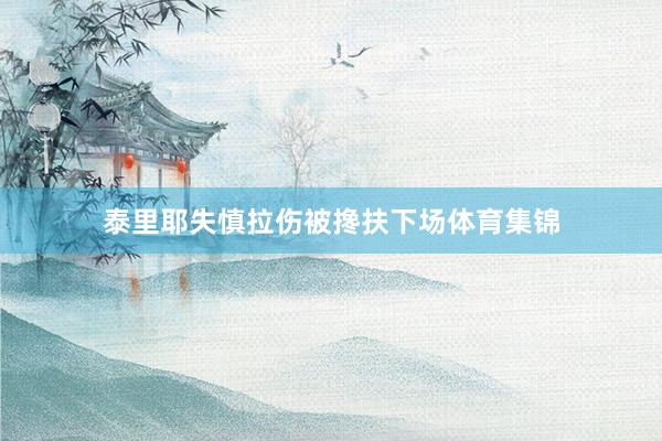 泰里耶失慎拉伤被搀扶下场体育集锦