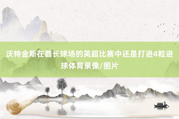 沃特金斯在酋长球场的英超比赛中还是打进4粒进球体育录像/图片