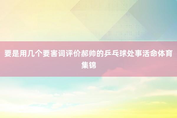 要是用几个要害词评价郝帅的乒乓球处事活命体育集锦
