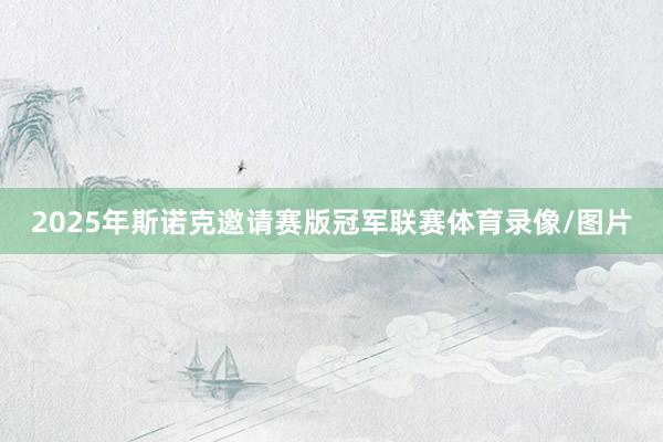 2025年斯诺克邀请赛版冠军联赛体育录像/图片