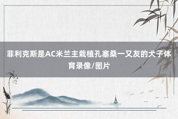 菲利克斯是AC米兰主栽植孔塞桑一又友的犬子体育录像/图片