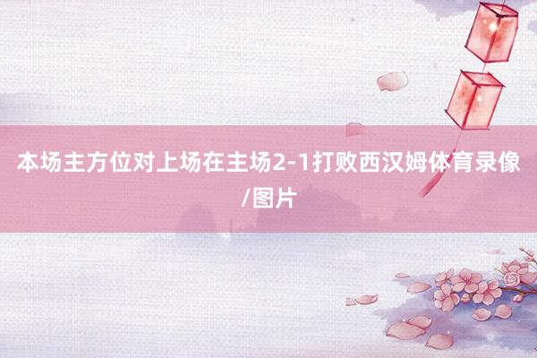 本场主方位对上场在主场2-1打败西汉姆体育录像/图片