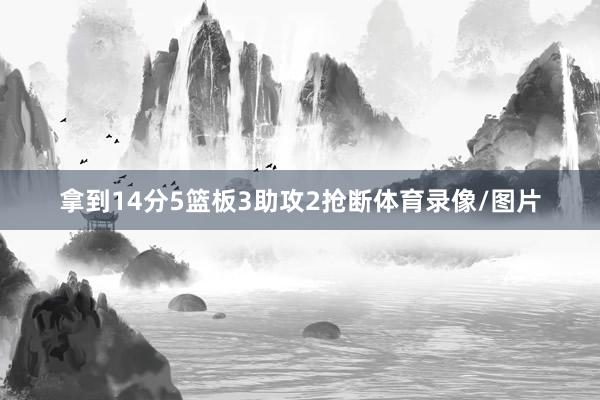 拿到14分5篮板3助攻2抢断体育录像/图片