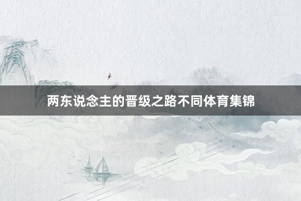 两东说念主的晋级之路不同体育集锦