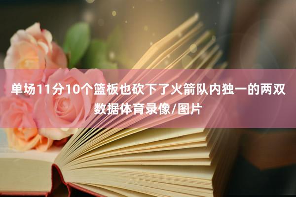 单场11分10个篮板也砍下了火箭队内独一的两双数据体育录像/图片