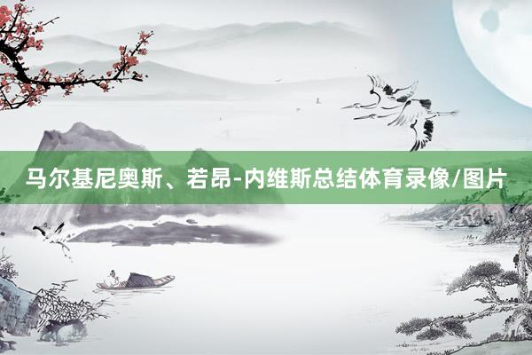 马尔基尼奥斯、若昂-内维斯总结体育录像/图片