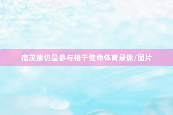 宿茂臻仍是参与相干使命体育录像/图片