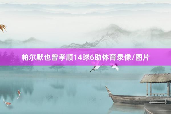 帕尔默也曾孝顺14球6助体育录像/图片