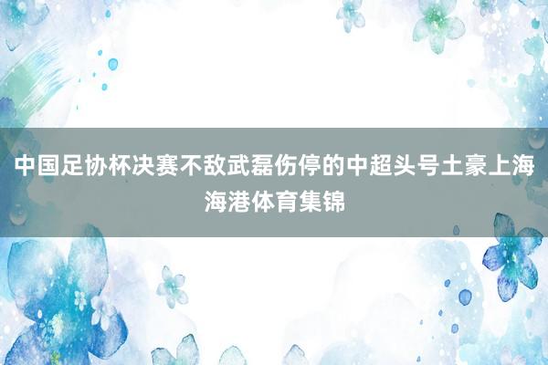 中国足协杯决赛不敌武磊伤停的中超头号土豪上海海港体育集锦