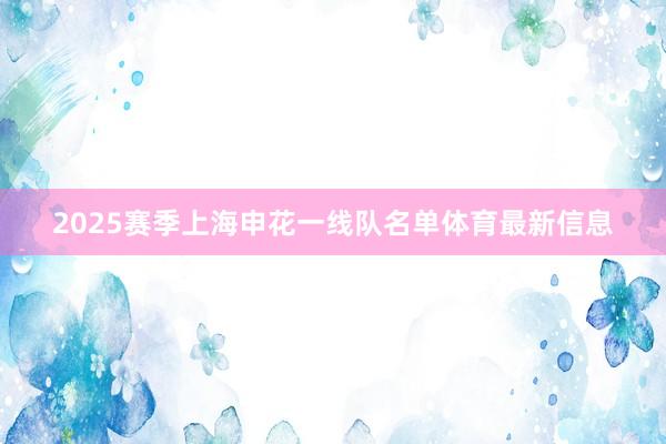2025赛季上海申花一线队名单体育最新信息