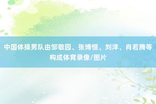 中国体操男队由邹敬园、张博恒、刘洋、肖若腾等构成体育录像/图片