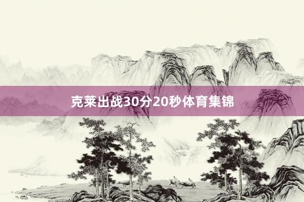 克莱出战30分20秒体育集锦