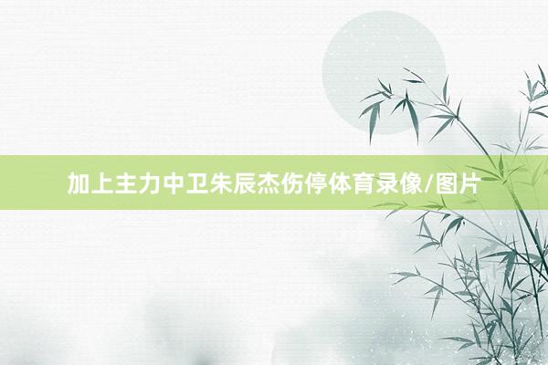 加上主力中卫朱辰杰伤停体育录像/图片