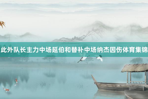 此外队长主力中场延伯和替补中场纳杰因伤体育集锦