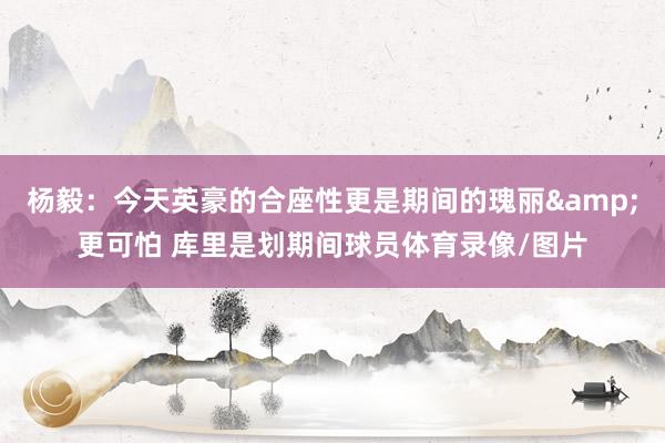 杨毅：今天英豪的合座性更是期间的瑰丽&更可怕 库里是划期间球员体育录像/图片