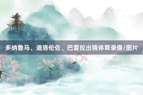 多纳鲁马、迪洛伦佐、巴雷拉出镜体育录像/图片