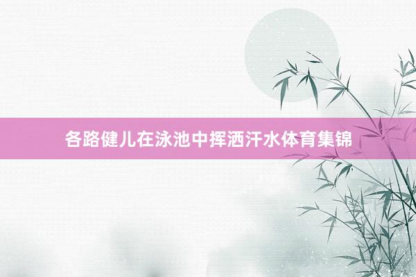 各路健儿在泳池中挥洒汗水体育集锦