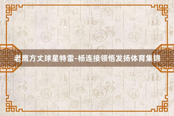 老鹰方丈球星特雷-杨连接领悟发扬体育集锦