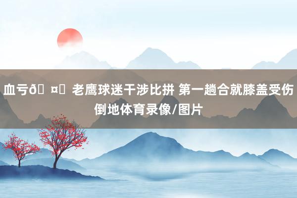 血亏🤕老鹰球迷干涉比拼 第一趟合就膝盖受伤倒地体育录像/图片