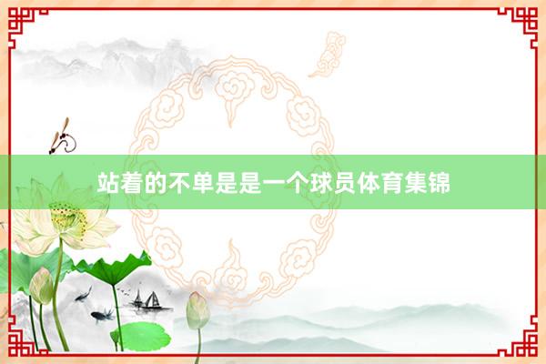 站着的不单是是一个球员体育集锦