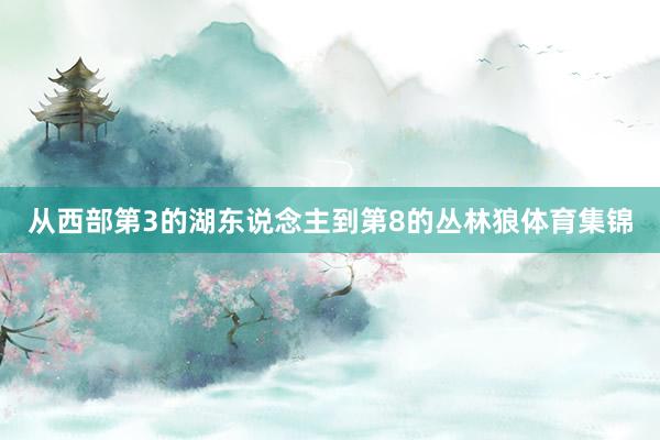 从西部第3的湖东说念主到第8的丛林狼体育集锦