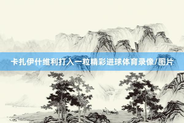 卡扎伊什维利打入一粒精彩进球体育录像/图片