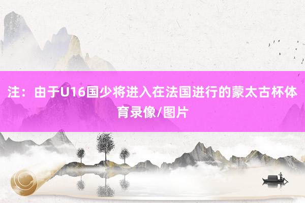 注：由于U16国少将进入在法国进行的蒙太古杯体育录像/图片
