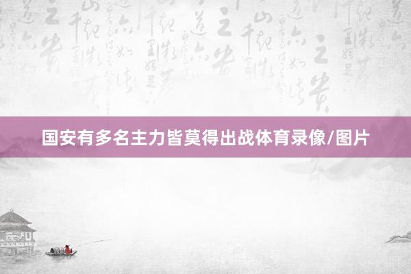 国安有多名主力皆莫得出战体育录像/图片