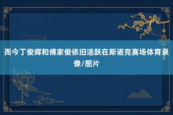 而今丁俊晖和傅家俊依旧活跃在斯诺克赛场体育录像/图片