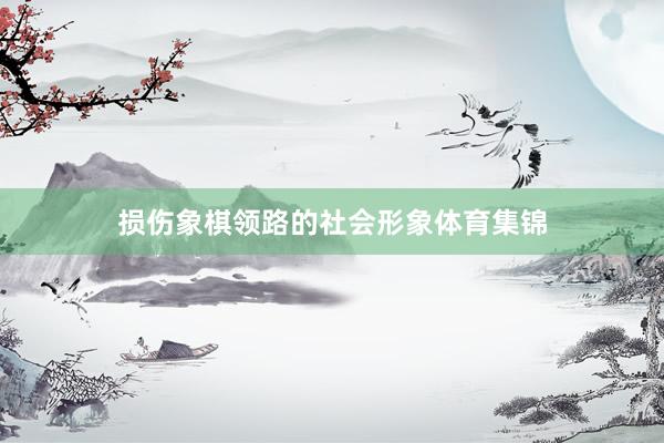 损伤象棋领路的社会形象体育集锦