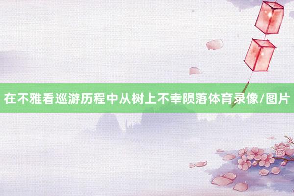 在不雅看巡游历程中从树上不幸陨落体育录像/图片