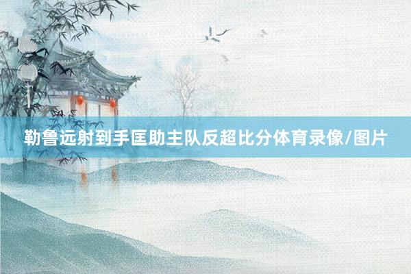 勒鲁远射到手匡助主队反超比分体育录像/图片