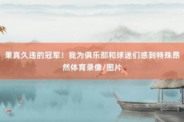 果真久违的冠军！我为俱乐部和球迷们感到特殊昂然体育录像/图片