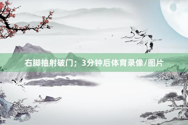 右脚抽射破门；3分钟后体育录像/图片