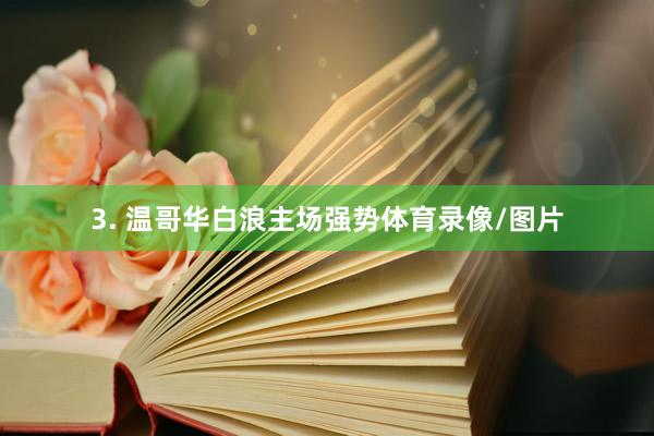 3. 温哥华白浪主场强势体育录像/图片