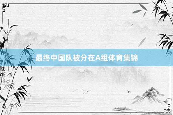 最终中国队被分在A组体育集锦