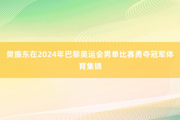 樊振东在2024年巴黎奥运会男单比赛勇夺冠军体育集锦