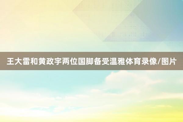 王大雷和黄政宇两位国脚备受温雅体育录像/图片