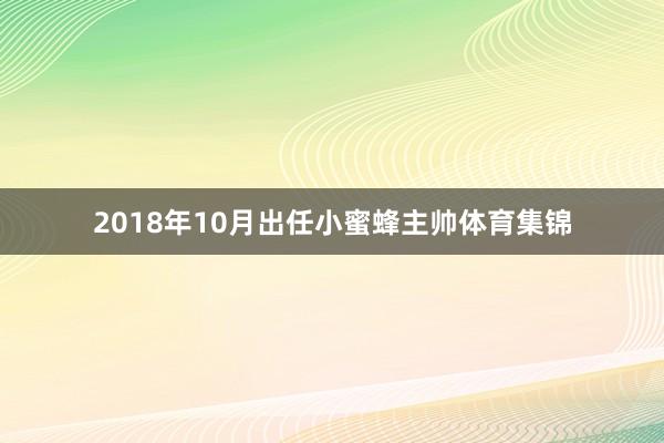 2018年10月出任小蜜蜂主帅体育集锦
