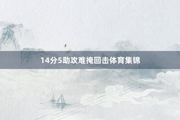 14分5助攻难掩回击体育集锦