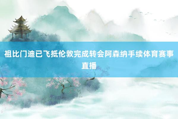 祖比门迪已飞抵伦敦完成转会阿森纳手续体育赛事直播